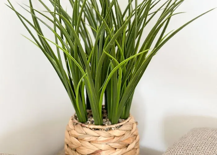 Appartamento Roza Primošten